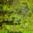 Fendler
