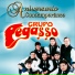 Grupo Pegasso