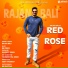 Rajan Bali