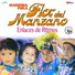 Marimba Flor del Manzano