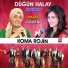 Koma Rojîn
