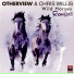 OtherView feat. Chris Willis