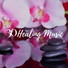 Reiki Healing Music Ensemble