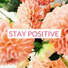 Mental Detox Series