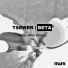 Tsewer Beta
