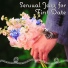 Romantic Jazz Piano Music Academy