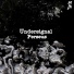 Undersignal
