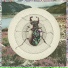 The Insect Soldiers of the Sky