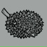 durian