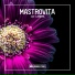 Mastrovita