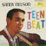 Sandy Nelson