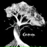 Coldrain