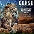 Corsu