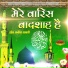 Rais Anis Sabri