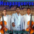 Trio Huapangueros Fanatico