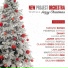 New Project Orchestra feat. Federico Stragà