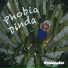 Dindapobia
