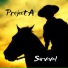 Project A