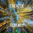 Tokatek