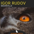 Igor Rudov