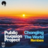 Public Invasion Project