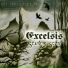 Excelsis