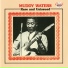 Muddy Waters feat. Sunnyland Slim