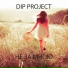 DIP Project