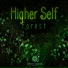 Higher Self