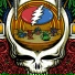 Dead & Company