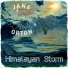 Jane Orton
