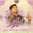 Ali Akbar Ameen