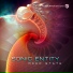 Sonic Entity