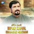 Irfan Kaml