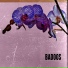 BADOOS