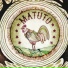 Matuto