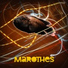 Marothes