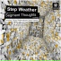 Step Weather