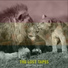 King Ital Rebel