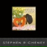Stephen R Cheney