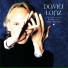 David Lanz