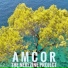 Amcor