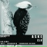 Aske