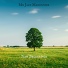 Mr Jazz Manouche