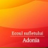Adonia Grup