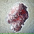 Sherry Markman