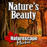 Naturescape Music