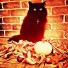 Music For Cats