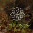 Folkfonics
