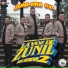 Marimba Orquesta La Voz de Zunil